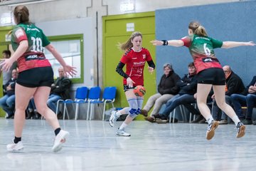 Bild 251 - F HSG Kremperheide/Muensterdorf - TSV SR Schuelp : Ergebnis: 19:14